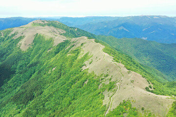 高知県仁淀川町　明神山山頂の風景