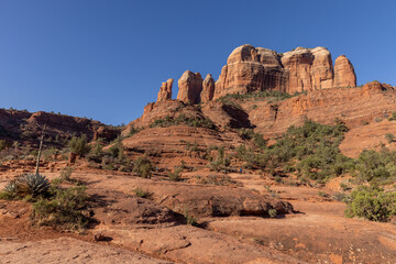 Fototapeta premium Cathedral Rock Sedona
