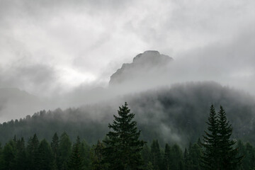 Bergmassiv in dunklen Wolken mit Tannen im Vordergrund