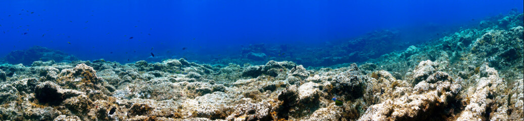 Panorama underwater reef