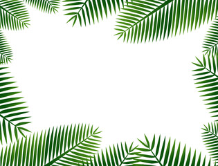 The view of the clear sky above the coconut trees