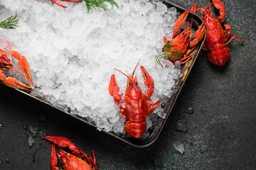 Fresh crayfish food on a black plate background. Red crayfish snack seafood with herb spices lemon rosemary and ice in the restaurant gourmet food healthy