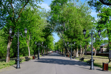 Landscape with old green trees and grey alley in Mogosoaia Park (Parcul Mogosoaia), a weekend attraction close to  Bucharest, Romania, in a sunny spring day.