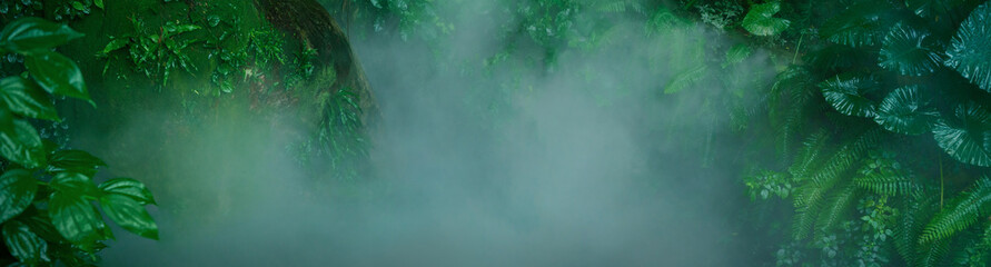 Tropical Fern Bushes in Mist