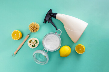 Flat lay composition with natural items for kitchen and home cleaning.