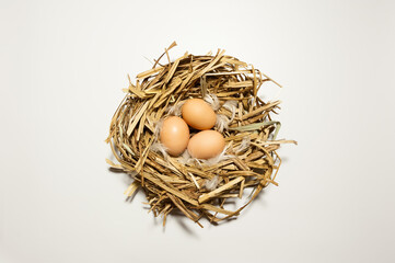 Top view of bird's nest with eggs on the white background