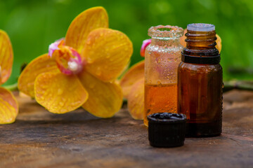 bottles with essential oils and orchid in bowl isolated on white background