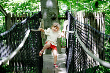 Cute little preschool girl walking on high tree-canopy trail with wooden walkway and ropeways on Hoherodskopf in Germany. Happy active child exploring treetop path. Funny activity for families