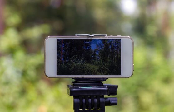 A mobile phone mounted on a tripod capturing image of natural forest