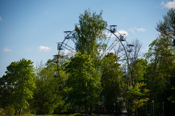 panoramic wheel in the park with green trees