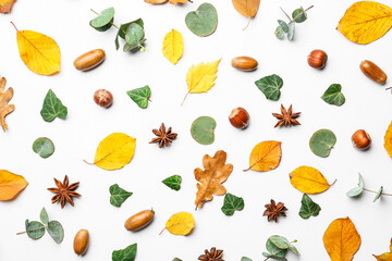 Beautiful autumn composition on white background