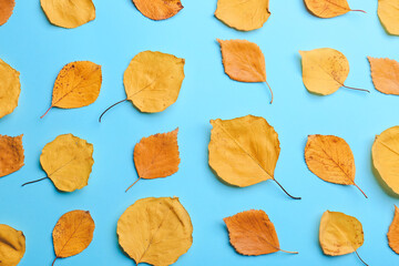 Beautiful autumn leaves on color background