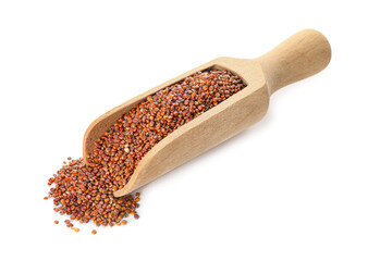 Scoop with healthy quinoa on white background