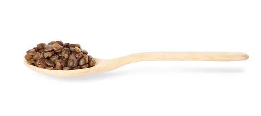 Spoon with tasty cooked lentils on white background