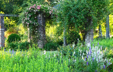 Rose Arbor, Summer Garden
