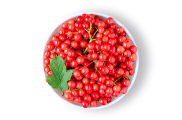 Viburnum. Ripe berries in a white plate. Isolated on white