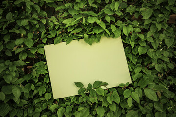 Weisses Blatt Papier vor Grünen Blättern