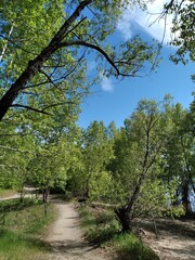 Солнечный день