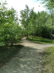 Fototapeta premium Солнечный день