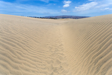 Sand dunes of Maspalomas, Gran Canaria