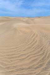 Sand dunes of Maspalomas, Gran Canaria