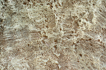 Texture of a granite wall. a background with beautiful the drawing on a stone