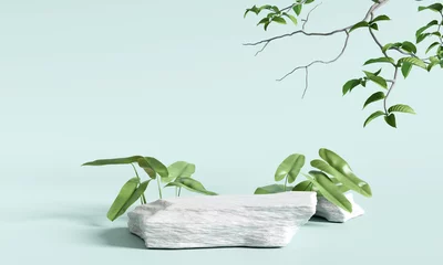Poster Stone product display podium with nature leaves on blue background. 3D rendering © nawapon