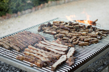 grilled meat on the grill