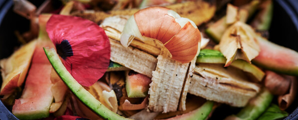 View into a bio container with various organic wastes for recycling.