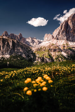 View from the Cinque Torri over the valley to the Tofana with flowers and clouds