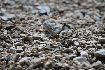 Small stones and gravel at the bank of river or lake.