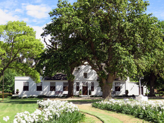 Fototapeta na wymiar A Cape Dutch style farm house.