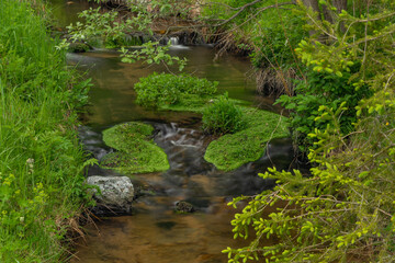 Fototapeta na wymiar Milikovsky creek on Sumava national park in spring color morning