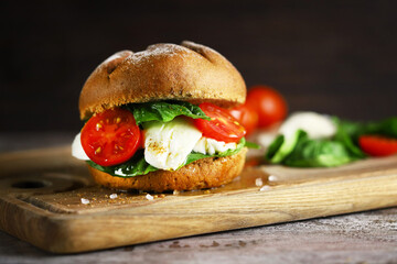 Mozzarella sandwich with tomato and spinach. Caprese sandwich.