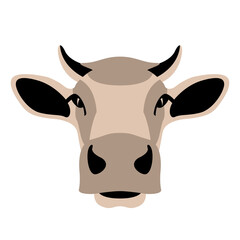 cow face , front view, vector illustration
