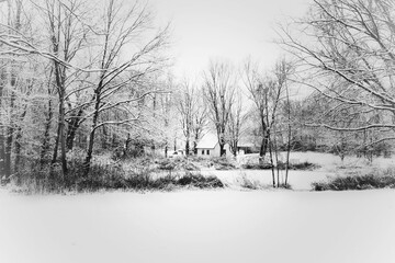 Park im Winter in Ladenburg 