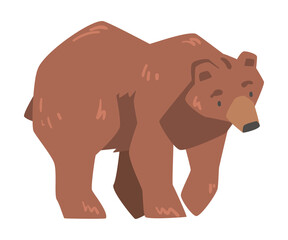 Walking Brown Bear, Large Wild Predator Mammal Animal Cartoon Vector Illustration