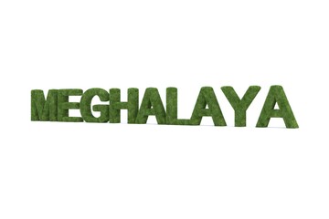 3d rendering of green grass MEGHALAYA word isolated on white background