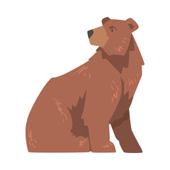 Sitting Large Brown Bear, Wild Mammal Animal Cartoon Vector Illustration