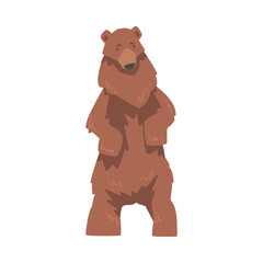 Brown Bear Standing on Two Legs, Large Wild Predator Mammal Animal Cartoon Vector Illustration