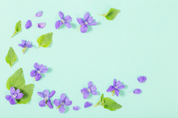 Obraz na płótnie Canvas viola flowers with leaves on green background