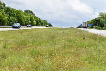 Highway Median