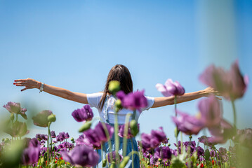 Brunette standing in field of wild flowers with  widespread hands. She is enjoying her time. Village life. Sunny day.  Purple and red poppies. Freedom. No stress. Relaxed. Enjoy life. Happiness.