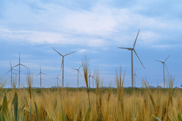 Windmill  Alternative Energy Farm.Wind Turbines.
