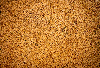 Thousands of small beige organic seeds put together. Vegan nutritious food. background for designers.