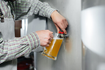 A young bearded brewer conducts quality control of freshly brewed beer in the brewery.