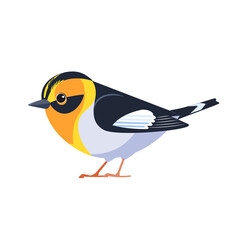 Obraz premium Blackburnian warbler is a small New World warbler. Setophaga fusca. Bird Cartoon flat style beautiful character of ornithology, vector illustration isolated on white background