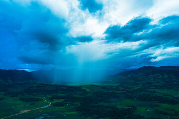 Rain in the forest