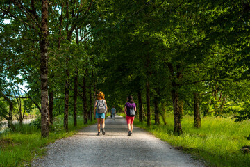 Fototapeta na wymiar Two friends walking along the beautiful path between trees in the Urdaibai marshes, a Bizkaia biosphere reserve next to Mundaka. Basque Country