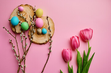 Willow, tulips and easter eggs on pink background